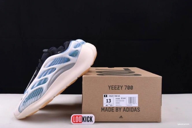 YEEZY GY0260 700 ADIDAS V3 1102
